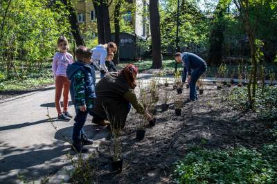 Pięknieje park Jalu Kurka, przybyło trochę nowych roślin - zdjęcie 4