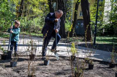 Pięknieje park Jalu Kurka, przybyło trochę nowych roślin - zdjęcie 10