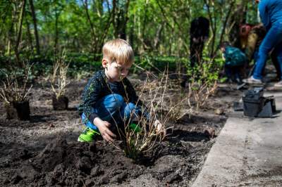Pięknieje park Jalu Kurka, przybyło trochę nowych roślin - zdjęcie 19