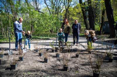 Pięknieje park Jalu Kurka, przybyło trochę nowych roślin - zdjęcie 9