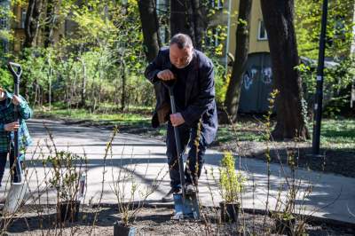 Pięknieje park Jalu Kurka, przybyło trochę nowych roślin - zdjęcie 8