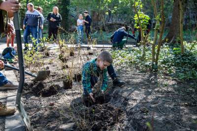 Pięknieje park Jalu Kurka, przybyło trochę nowych roślin - zdjęcie 21