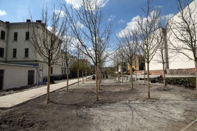 Wywalczony przez mieszkańców park nabiera realnych kształtów, będzie pięknie! - zdjęcie 38