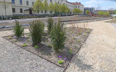 Wywalczony przez mieszkańców park nabiera realnych kształtów, będzie pięknie! - zdjęcie 23