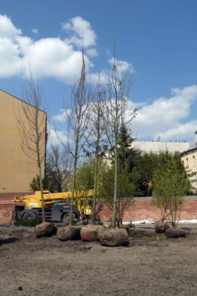 Wywalczony przez mieszkańców park nabiera realnych kształtów, będzie pięknie! - zdjęcie 11