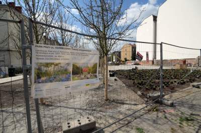 Wywalczony przez mieszkańców park nabiera realnych kształtów, będzie pięknie! - zdjęcie 37