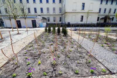 Wywalczony przez mieszkańców park nabiera realnych kształtów, będzie pięknie! - zdjęcie 22