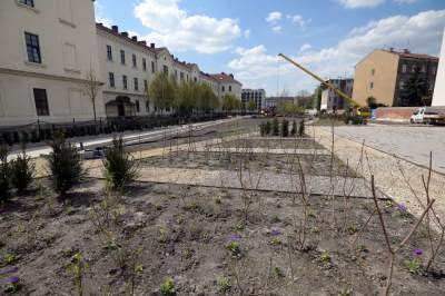 Wywalczony przez mieszkańców park nabiera realnych kształtów, będzie pięknie! - zdjęcie 36