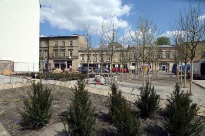 Wywalczony przez mieszkańców park nabiera realnych kształtów, będzie pięknie! - zdjęcie 19