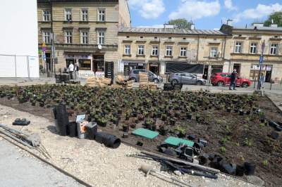 Wywalczony przez mieszkańców park nabiera realnych kształtów, będzie pięknie! - zdjęcie 20