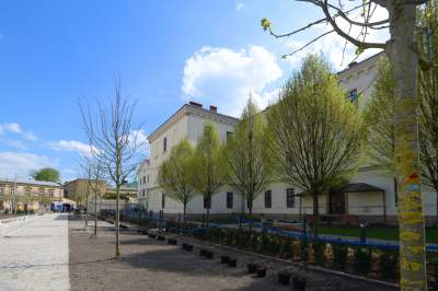 Wywalczony przez mieszkańców park nabiera realnych kształtów, będzie pięknie! - zdjęcie 16