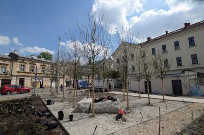 Wywalczony przez mieszkańców park nabiera realnych kształtów, będzie pięknie! - zdjęcie 18