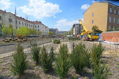 Wywalczony przez mieszkańców park nabiera realnych kształtów, będzie pięknie! - zdjęcie 26