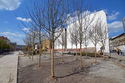 Wywalczony przez mieszkańców park nabiera realnych kształtów, będzie pięknie! - zdjęcie 2