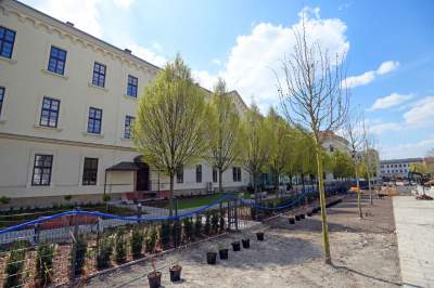 Wywalczony przez mieszkańców park nabiera realnych kształtów, będzie pięknie! - zdjęcie 8