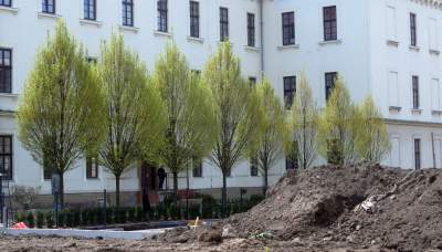 Wywalczony przez mieszkańców park nabiera realnych kształtów, będzie pięknie! - zdjęcie 32