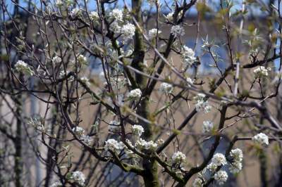 Wywalczony przez mieszkańców park nabiera realnych kształtów, będzie pięknie! - zdjęcie 34