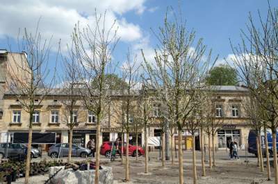 Wywalczony przez mieszkańców park nabiera realnych kształtów, będzie pięknie! - zdjęcie 17