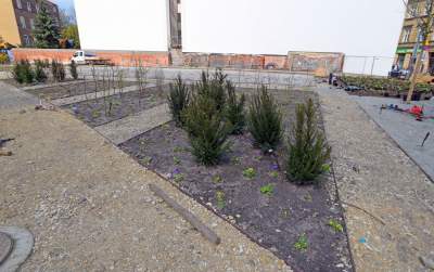 Wywalczony przez mieszkańców park nabiera realnych kształtów, będzie pięknie! - zdjęcie 5