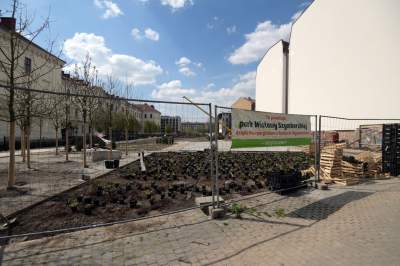 Wywalczony przez mieszkańców park nabiera realnych kształtów, będzie pięknie! - zdjęcie 39