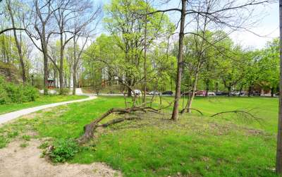 Odnowiony Park Bednarskiego nas zachwyca: piękne miejsce, z pięknymi widokami - zdjęcie 34