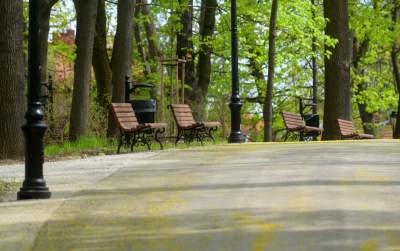 Odnowiony Park Bednarskiego nas zachwyca: piękne miejsce, z pięknymi widokami - zdjęcie 41