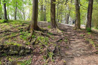 Odnowiony Park Bednarskiego nas zachwyca: piękne miejsce, z pięknymi widokami - zdjęcie 48