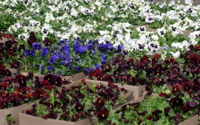 Odnowiony Park Bednarskiego nas zachwyca: piękne miejsce, z pięknymi widokami - zdjęcie 43