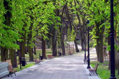 Odnowiony Park Bednarskiego nas zachwyca: piękne miejsce, z pięknymi widokami - zdjęcie 46