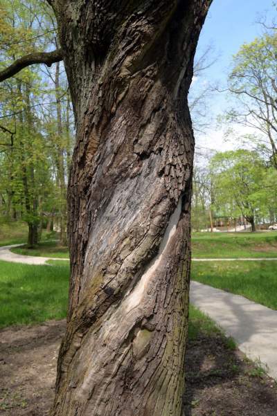 Odnowiony Park Bednarskiego nas zachwyca: piękne miejsce, z pięknymi widokami - zdjęcie 30