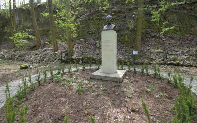 Odnowiony Park Bednarskiego nas zachwyca: piękne miejsce, z pięknymi widokami - zdjęcie 29