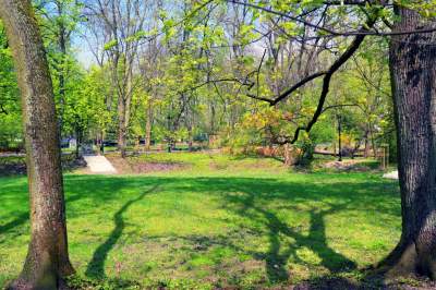 Odnowiony Park Bednarskiego nas zachwyca: piękne miejsce, z pięknymi widokami - zdjęcie 25
