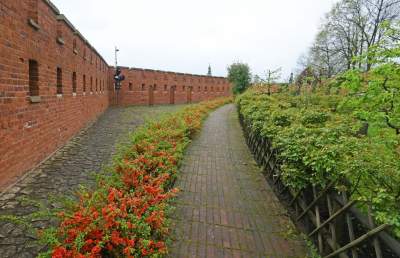 Wiosna w ogrodach wawelskich, znów będzie można zwiedzać - zdjęcie 7