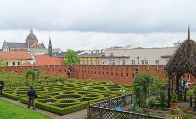 Wiosna w ogrodach wawelskich, znów będzie można zwiedzać - zdjęcie 3