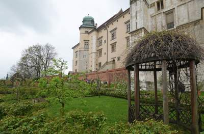 Wiosna w ogrodach wawelskich, znów będzie można zwiedzać - zdjęcie 6