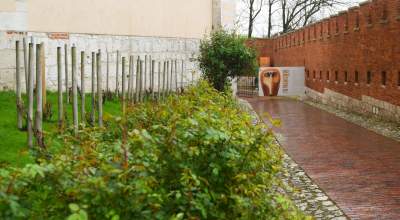 Wiosna w ogrodach wawelskich, znów będzie można zwiedzać - zdjęcie 17