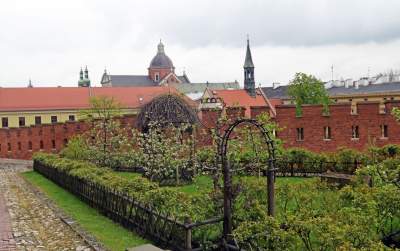 Wiosna w ogrodach wawelskich, znów będzie można zwiedzać - zdjęcie 2