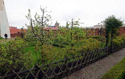 Wiosna w ogrodach wawelskich, znów będzie można zwiedzać - zdjęcie 14