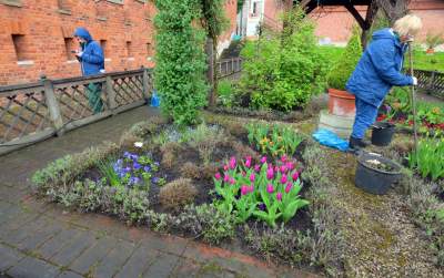 Wiosna w ogrodach wawelskich, znów będzie można zwiedzać - zdjęcie 11