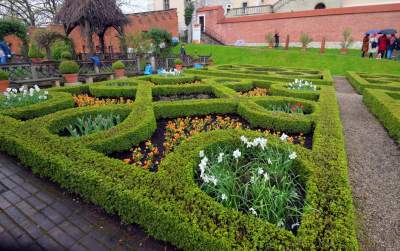 Wiosna w ogrodach wawelskich, znów będzie można zwiedzać - zdjęcie 8