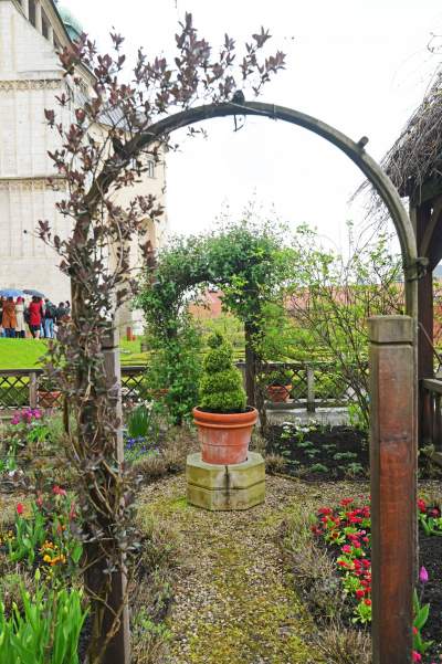 Wiosna w ogrodach wawelskich, znów będzie można zwiedzać - zdjęcie 12