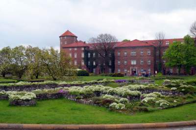 Wiosna w ogrodach wawelskich, znów będzie można zwiedzać - zdjęcie 19