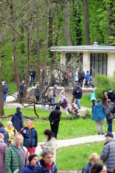 Park Bednarskiego tętni życiem, udana rewitalizacja - zdjęcie 20