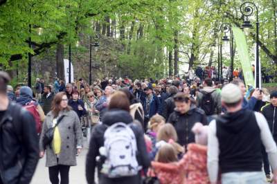 Park Bednarskiego tętni życiem, udana rewitalizacja - zdjęcie 2