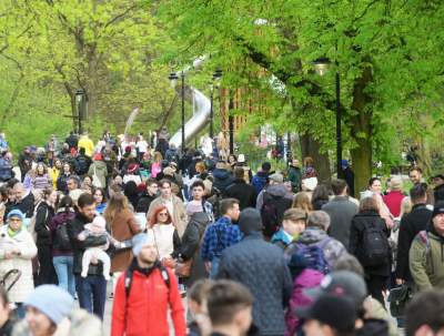 Park Bednarskiego tętni życiem, udana rewitalizacja - zdjęcie 12