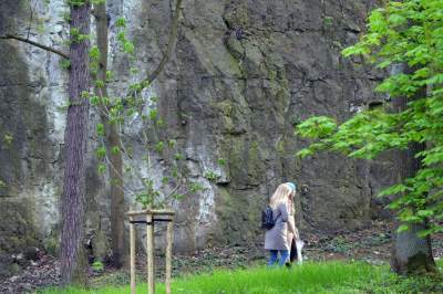 Park Bednarskiego tętni życiem, udana rewitalizacja - zdjęcie 23