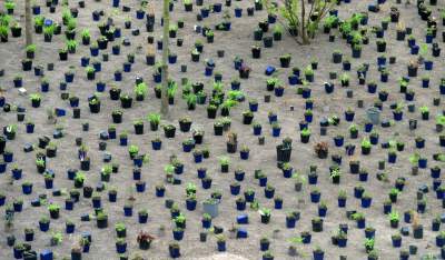 Tu będzie pięknie: Ogród Książki i park im. Wisławy Szymborskiej - zdjęcie 11