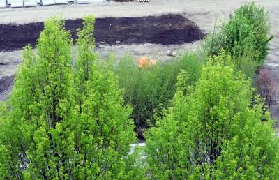 Tu będzie pięknie: Ogród Książki i park im. Wisławy Szymborskiej - zdjęcie 8