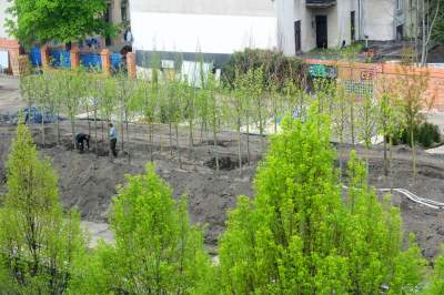 Tu będzie pięknie: Ogród Książki i park im. Wisławy Szymborskiej - zdjęcie 7