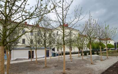 Tu będzie pięknie: Ogród Książki i park im. Wisławy Szymborskiej - zdjęcie 13